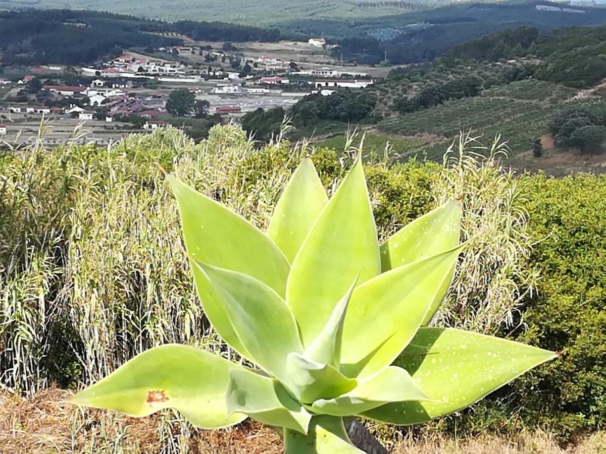 Casal Mala-Posta Villa Rio Maior Dış mekan fotoğraf